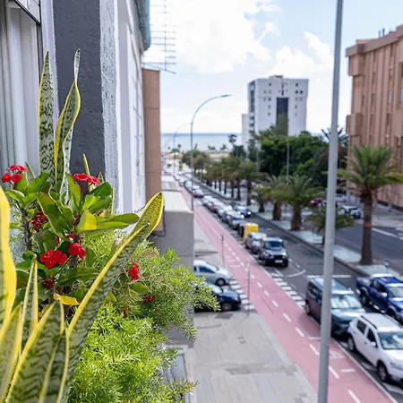 Apartment Bambu Vegueta Alquiler Por