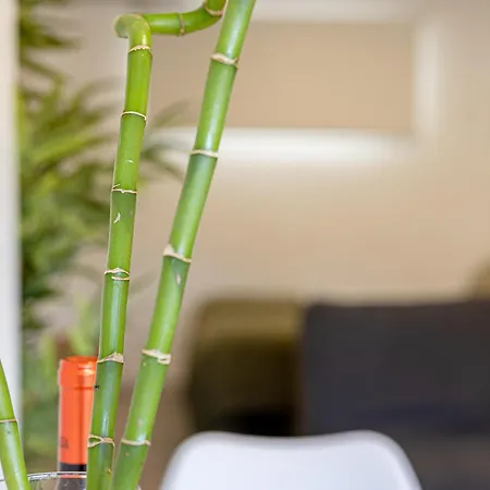 Bambu Vegueta Alquiler Por Apartment